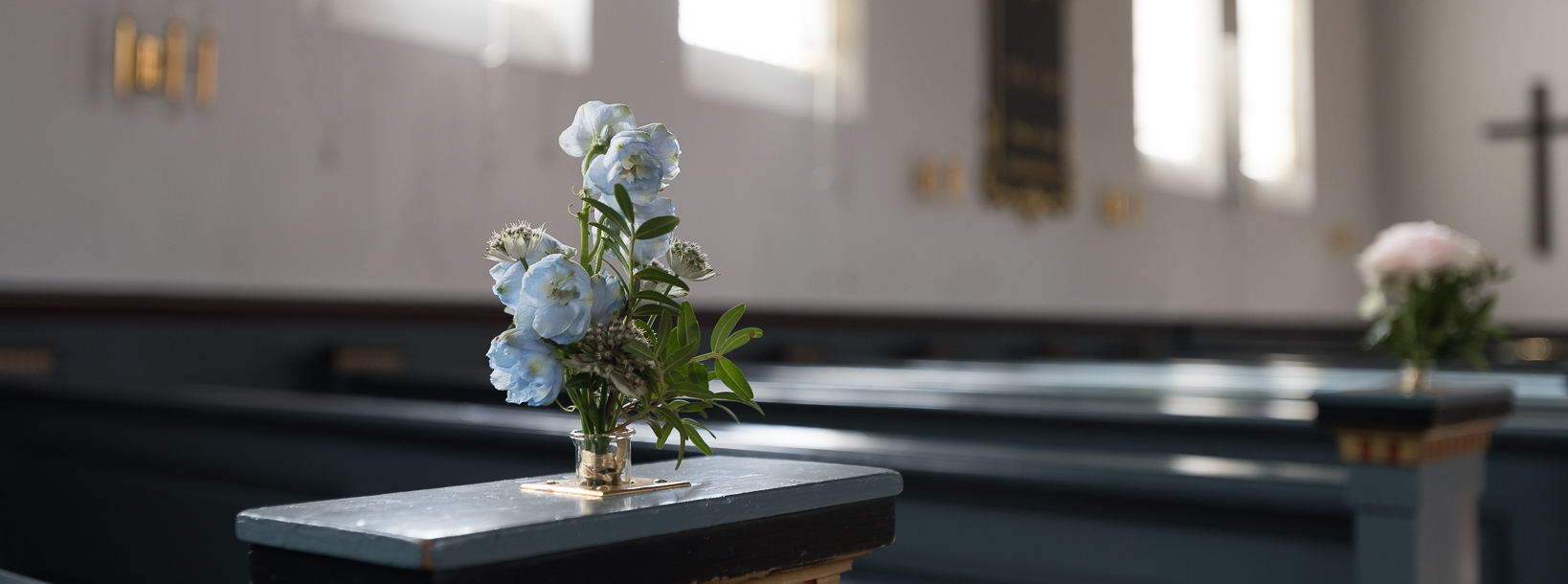 blomst i rækken 