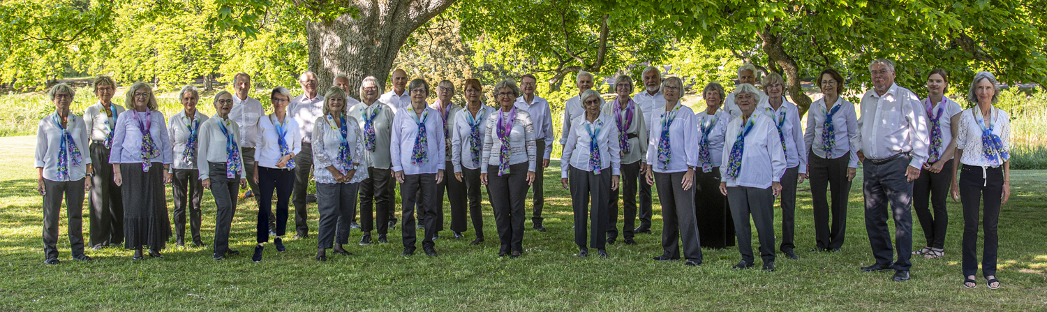 Julekoncert händels Messias
